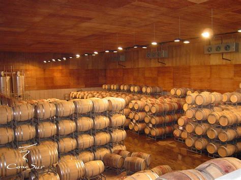 Cono Sur Vineyards & Winery | Chile