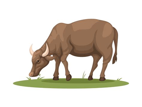 Farm Buffalo eating grass. rural animal life symbol cartoon illustration vector 15324002 Vector ...