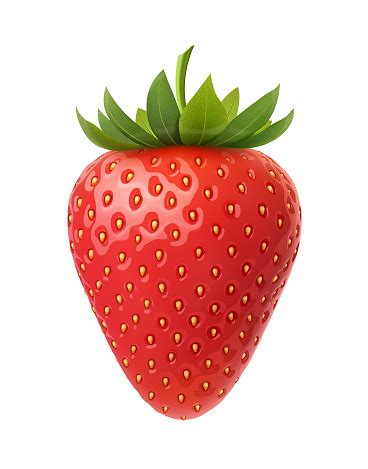 Strawberry Vector Illustration Stock Illustration - Download Image Now - iStock