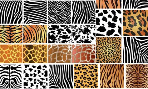 100+ Diverse Animal Skin Patterns for an Added Twist | Naldz Graphics