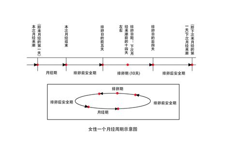 月经周期三十天安全期图表_39健康网_精编内容