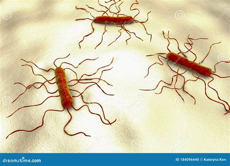 Bacterium Listeria Monocytogenes Royalty-Free Illustration ...