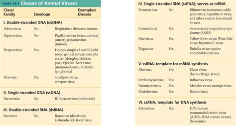 animal_virus.html 19_T01-AnimalViruses-L.jpg