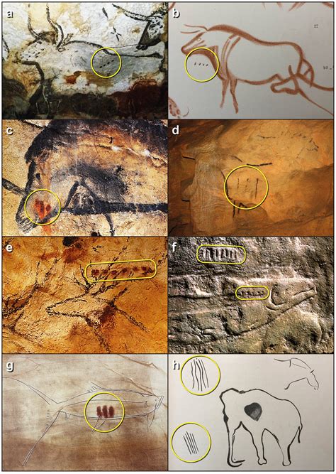 Cave markings show that Ice Age hunter-gatherers were the first to use ...