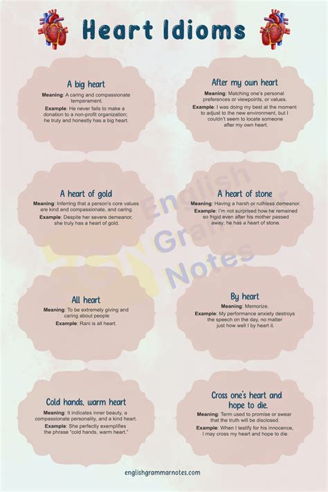 Heart Idioms | List of Heart Idioms With Meaning and Examples – English ...