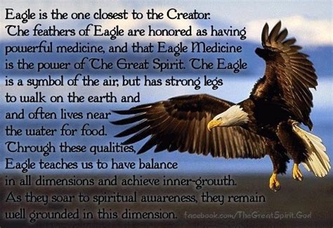 Meaning of Eagle | Eagle, Native american wisdom, Spirit animal meaning