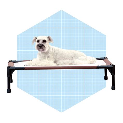 The 6 Best Heated Dog Beds to Keep Your Pup Warm in the Winter