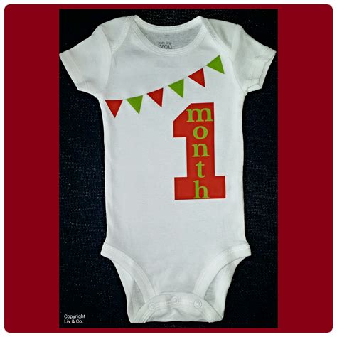 1 Month Old Baby Photo Outfit - Baby Clothes