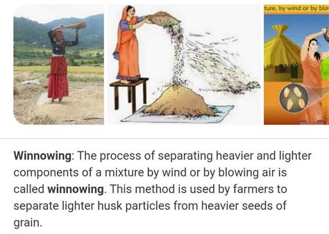 what is winnowing | EduRev Class 8 Question