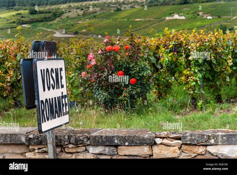 Vosne Romanee Stock Photos & Vosne Romanee Stock Images - Alamy