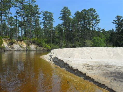 Camp Lowry:That's How We Roll: Kayaking on the Blackwater River