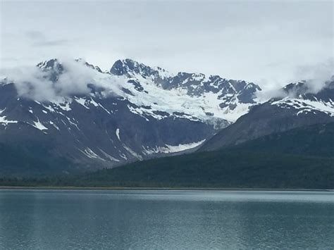 Glacier Bay, Alaska | Tammy Young Heck | Flickr