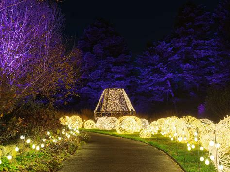 NYBG GLOW: An Outdoor Color & Light Experience Tickets | The Bronx ...