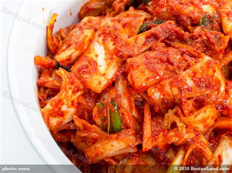 Authentic Korean Kimchi Recipe