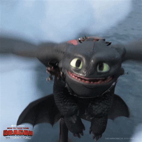 Httyd GIF by How To Train Your Dragon - Find & Share on GIPHY