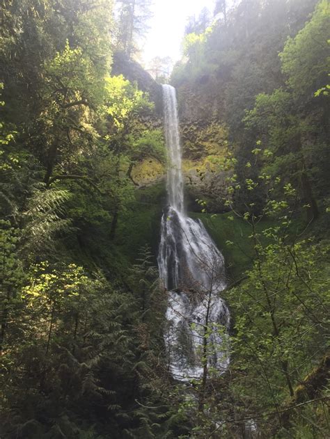 It finally happened...The Clackamas River Trail - pdxperfection