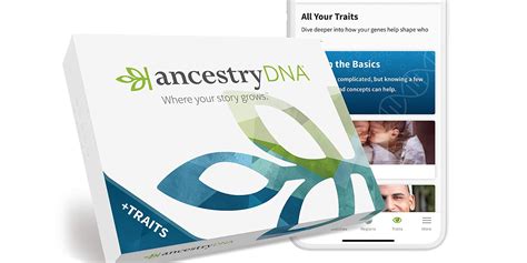 Explore your lineage: Prime Day Ancestry DNA, 23andMe, more kits from ...