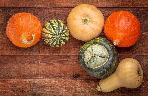 12 Types of Winter Squash and How to Use Them | Taste of Home