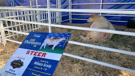 State Fair of Texas shares plans for 10-day youth livestock show | wfaa.com