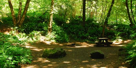 Jones Creek Campground - Tillamook State Forest - camping in Oregon