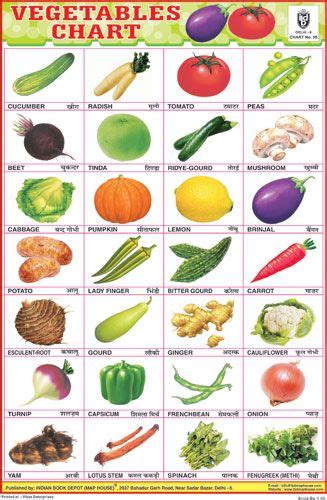 VEGETABLES CHART (28 PHOTO) | Vegetable chart, Vegetable pictures, Vegetables