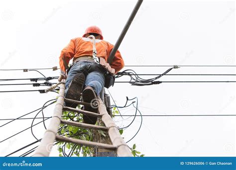 Lookup View of Cable Repair Technician are To Fix the Lines of Network ...