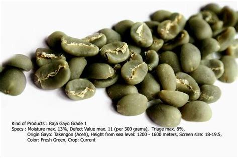 Raja Gayo Grade 1 coffee beans,Indonesia Raja Gayo Grade 1 price supplier - 21food