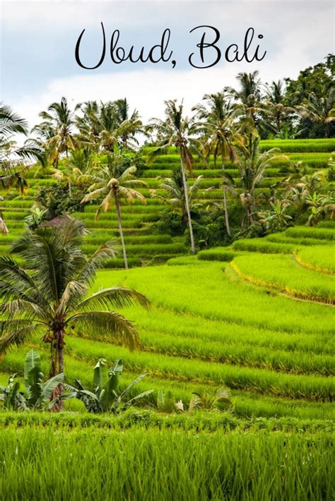 Guide to Ubud Rice Fields [and Around]- the Famous Rice Terraces in ...