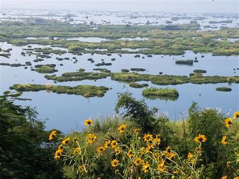 Keibul Lamjao national park - KETAN JOSHI