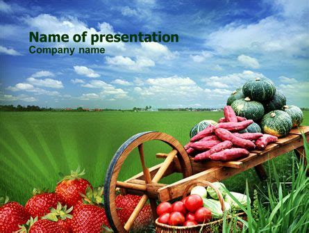 Harvest Festival Presentation Template | Presentation, Harvest festival ...