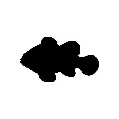 Clownfish Silhouette Illustration Stock Illustration - Download Image Now - Angelfish, Animal ...