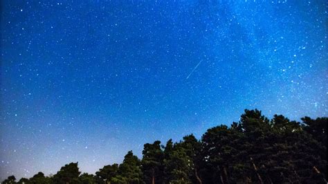 The Leonid Meteor Shower Will Brighten Your Weekend