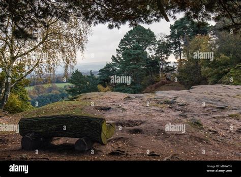 Alderley Edge, Cheshire, England in Autumn Stock Photo - Alamy