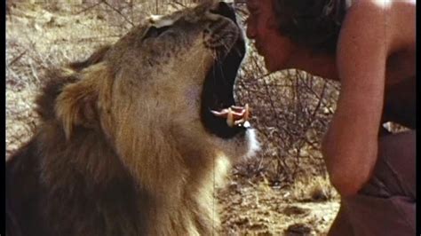 Top 50 Best Lion Movies Of All Time