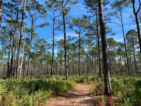 Best Hikes and Trails in Crooked River State Park | AllTrails