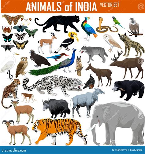 Animals India Stock Illustrations – 3,601 Animals India Stock ...