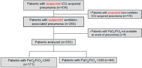 Manhattan szemafor határ diagnosis of ventilator associated pneumonia A ...