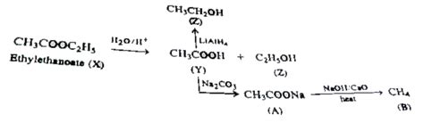 hydrolysis of ethyl butanoate