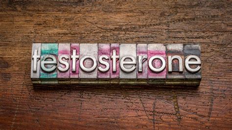 Testosterone and Weight Loss: The Intricate Balance Explained – Herzog Vitality Center