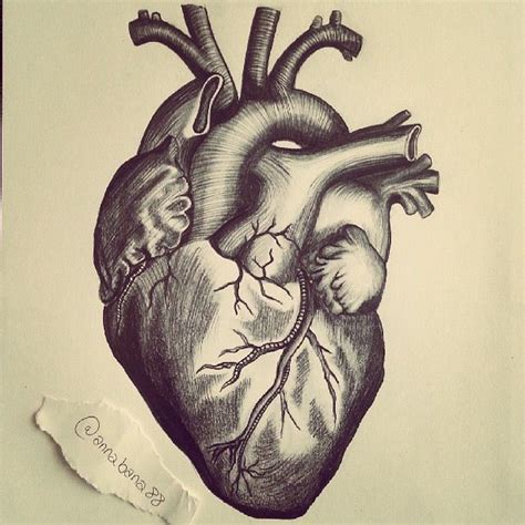 Resultado de imagen para dibujo de corazon a lapiz de humano ...