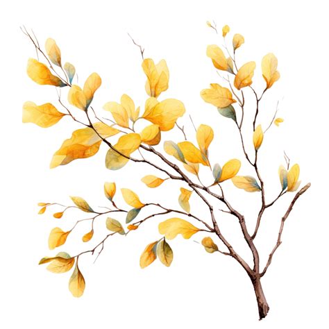 Watercolor Painting Yellow Tree Branch Png, Yellow, Tree, Branch PNG Transparent Image and ...