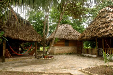 IMG_4360-1024x683 - Cohune Palms Belize