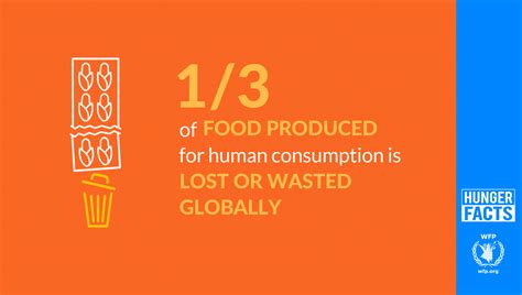 Food Waste And Hunger Facts - Falocasa