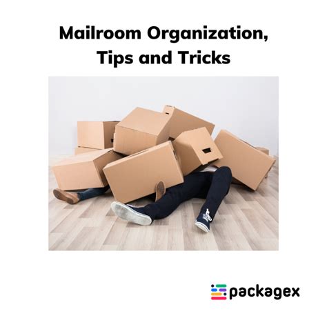 How To Keep Mailroom Organized? Tips for Mailroom Organizers! - PackageX