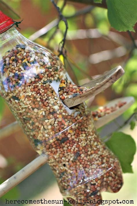 10 DIY Bird Feeders That Will Fill Your Garden with Songbirds - Bird Feeders