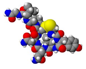 Ocytocine — Wikipédia