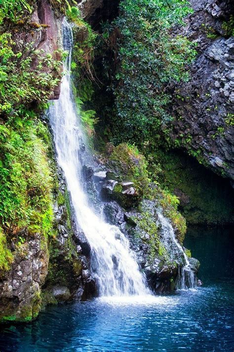 Amazon.com: Tropical Waterfall Picture, Hawaiian Art Print, Hana Maui ...