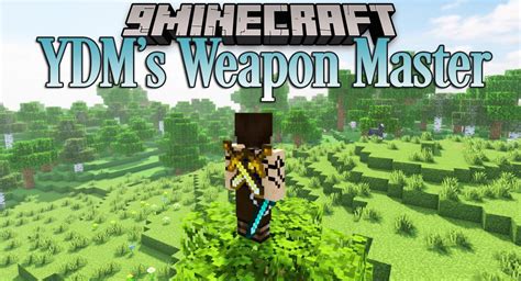 YDM's Weapon Master Mod (1.19.2, 1.18.2) - Back Weapons - Mc-Mod.Net