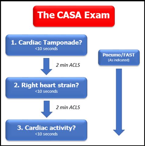 Introducing the CASA Exam: A New Protocol to Guide Point-Of-Care ...