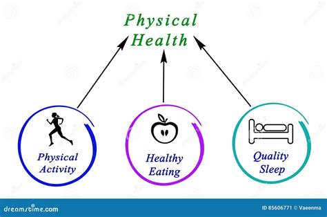 Diagram of Physical health stock illustration. Illustration of physical - 85606771